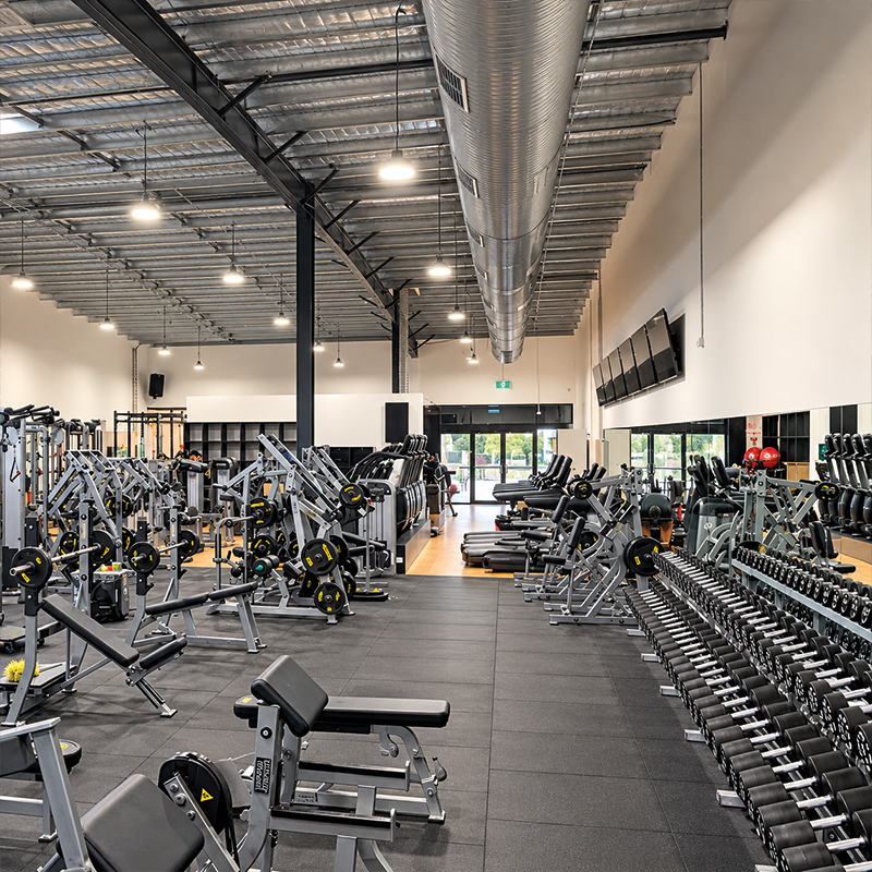 KangarooFlatGym_UD